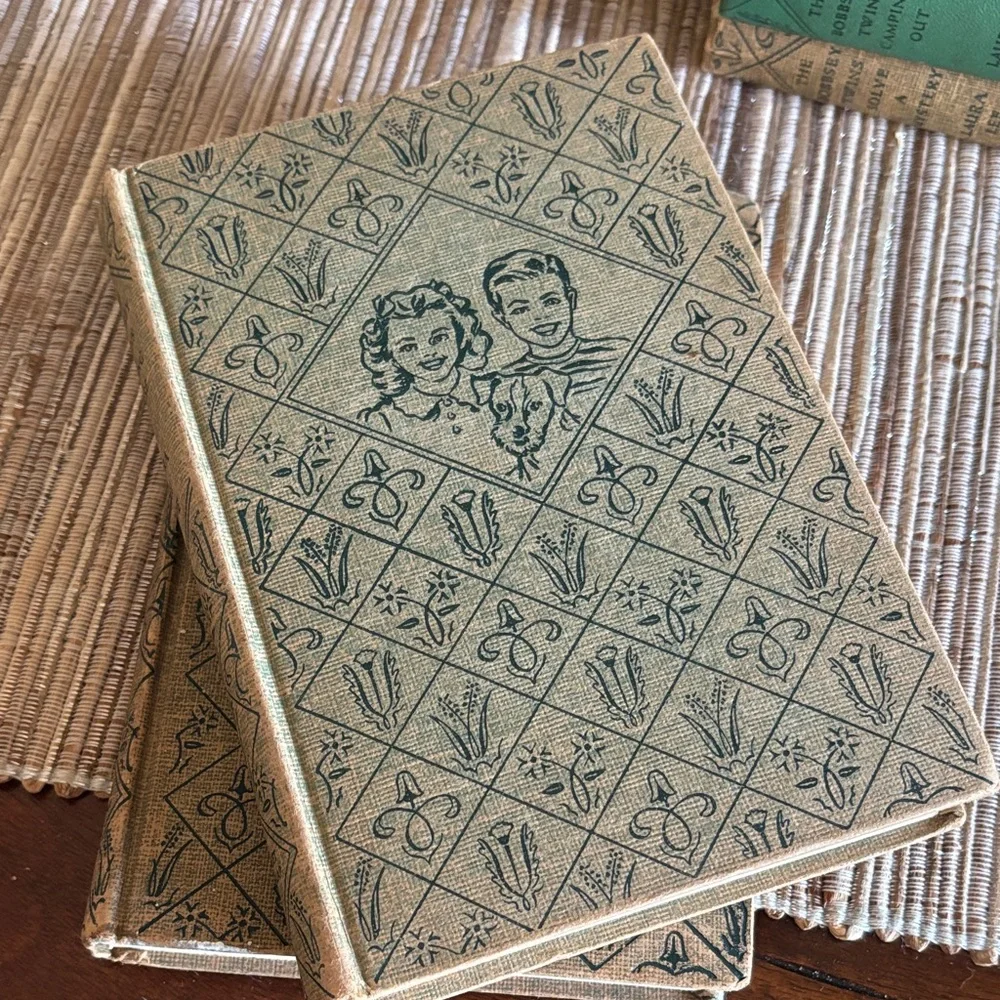 Collection of Bobbsey twin vintage books - Picture 2 of 3